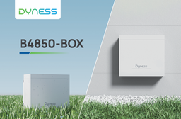 [ACCDYNB4850-BOX] CAJA DYNESS B4850-BOX